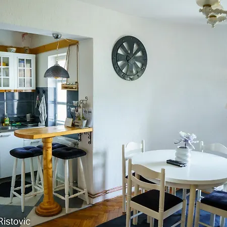 Ristovic Апартаменты Врнячка-Баня