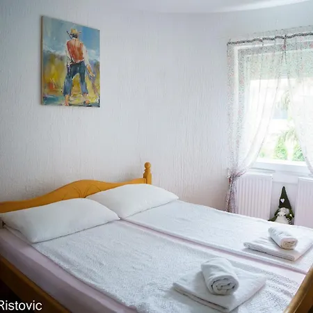 Апартаменты Ristovic Врнячка-Баня