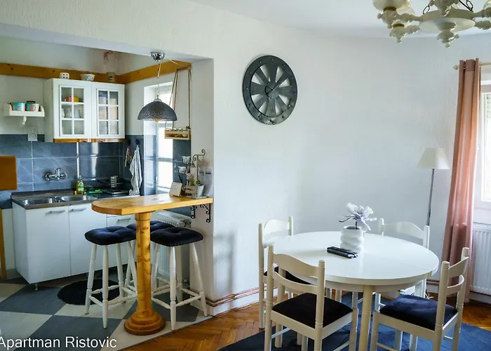 Ristovic Appartement Vrnjačka Banja