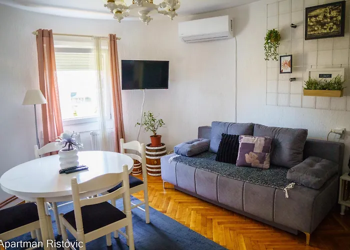 Appartement Ristovic Vrnjačka Banja