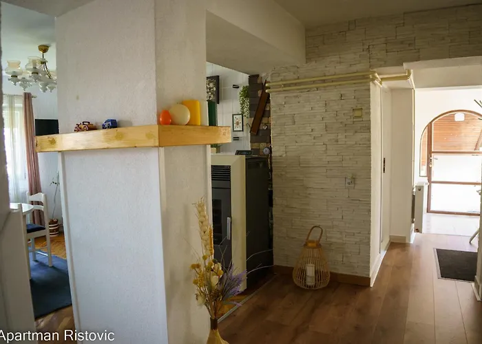 Appartement Ristovic *