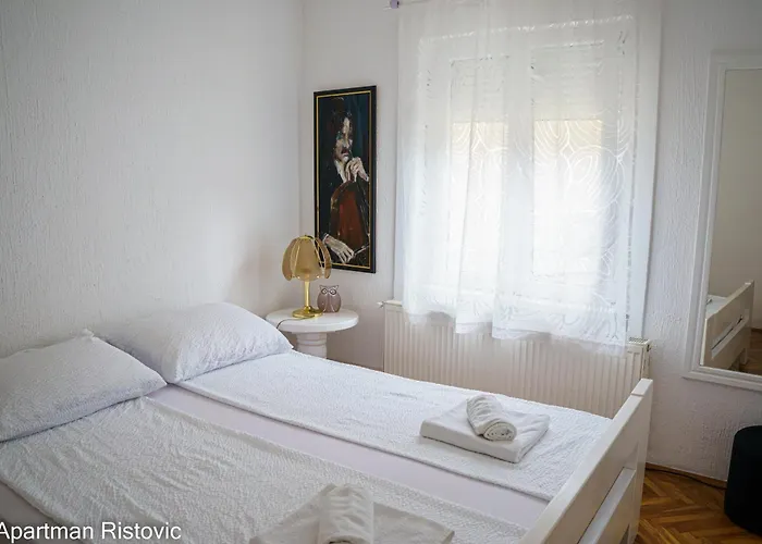 Appartement Ristovic Vrnjačka Banja