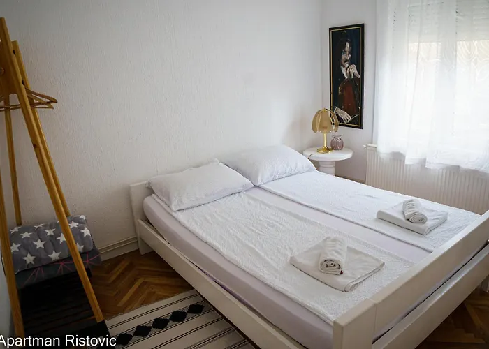 Lägenhet Ristovic Vrnjačka Banja