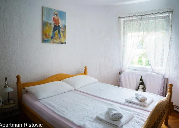 Lägenhet Ristovic Vrnjačka Banja